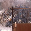 На трасі Київ-Чоп затримали п'ять фур зі сміттям із Львову