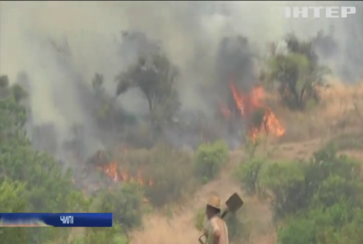 Масштабні пожежі у Чилі: вигоріло понад 100 га лісу