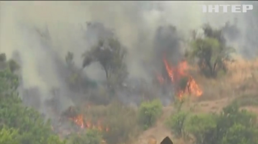 Масштабні пожежі у Чилі: вигоріло понад 100 га лісу