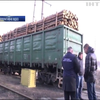 На Одещині перекрили незаконний канал вивезення лісу