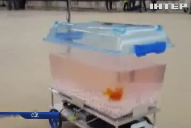 В США створили роботизований акваріум, яким керує рибка 