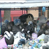 У Львові розпочали розчищення міста від сміття