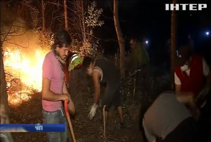 У Чилі лісові пожежі забрали життя 11 людей