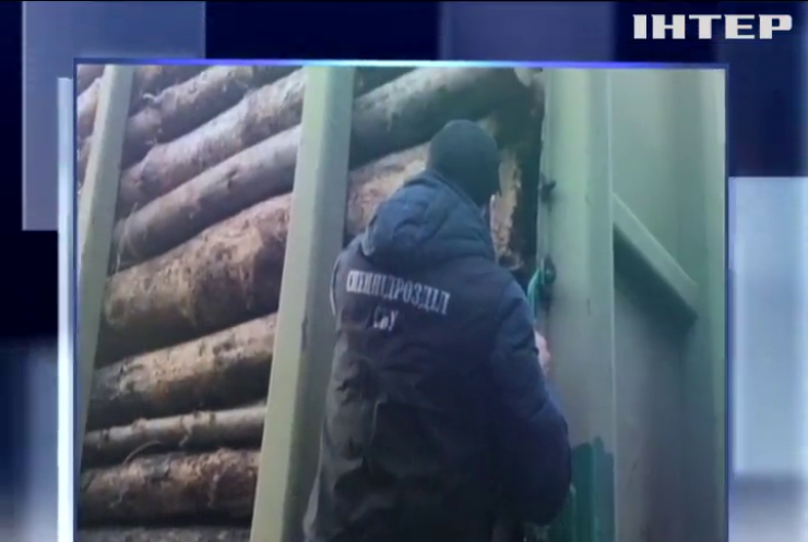На Одещині зупинили незаконний експорт деревини