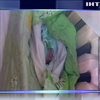 У лікарню на Харківщині підкинули немовля (відео)