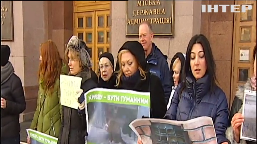 У Києві закликали підтримати петицію про захист котів-безхатьків