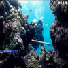 Великий бар'єрний риф гине через спеку