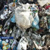 В Одесской области нашли очередную свалку львовского мусора
