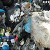 Звалище у селі в Одеській області заповнили сміттям зі Львову