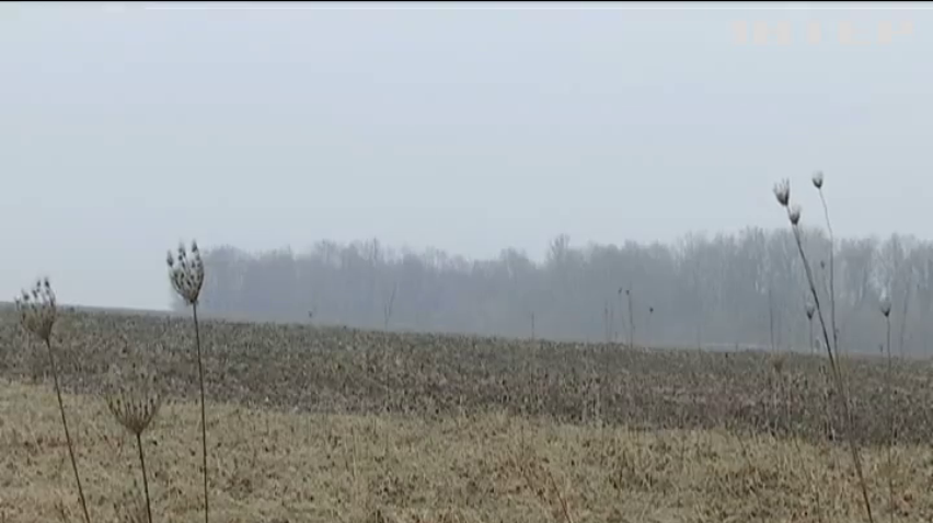 На Харківщині чиновники відібрали землю у вчителів 
