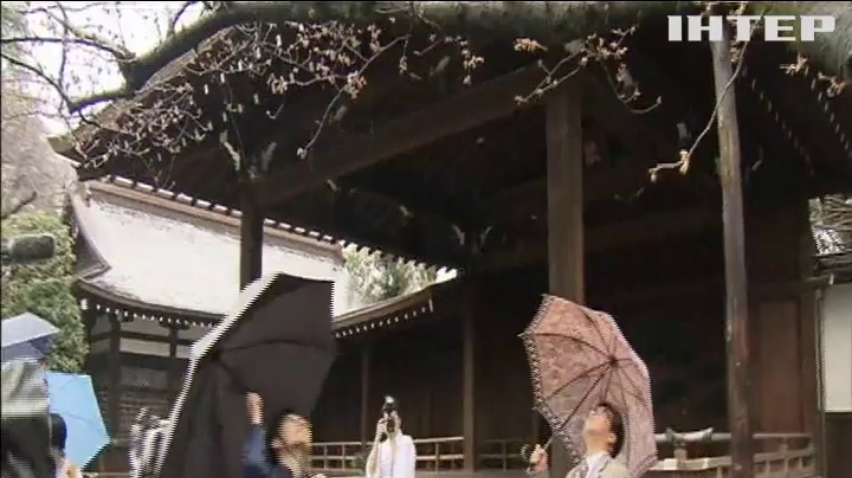 В Японії через аномальну погоду розквітла сакура