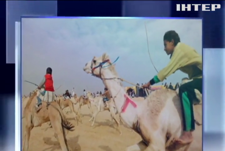 У Єгипті пройшли перегони на верблюдах