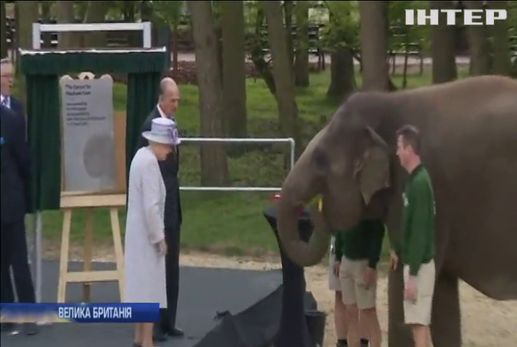 Королева Єлизавета погодувала слона у зоологічному центрі