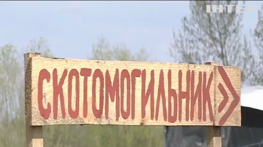 В Ковеле завод превратили в кладбище животных 