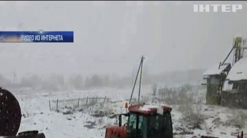 Беларусь на Пасху замело снегом