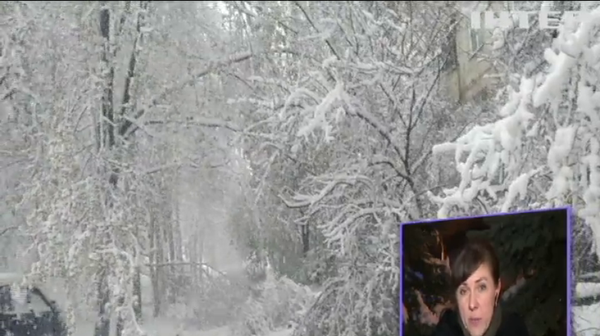 Погода в Украине: из-за снегопада в Харькове падают деревья 