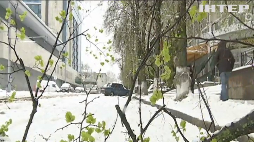 Снігопад в Україні: півтисячі населених пунктів залишилися без світла 