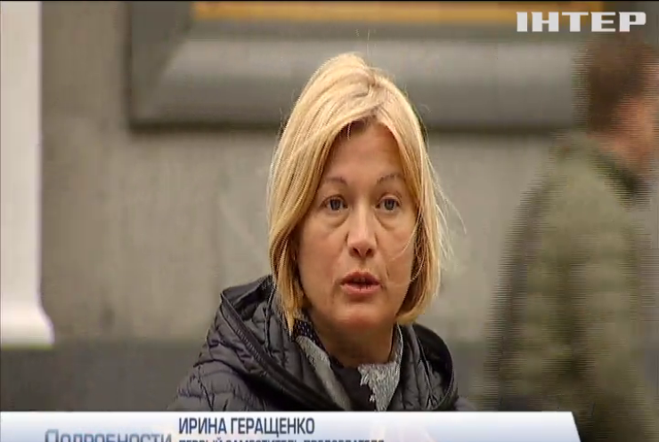 Ирина Геращенко напомнила депутатам о трудовом кодексе
