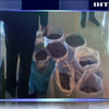 На Ривненщине правоохранители изъяли янтаря на сумму 2 миллиона гривен