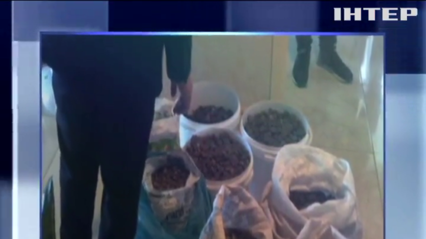 На Ривненщине правоохранители изъяли янтаря на сумму 2 миллиона гривен