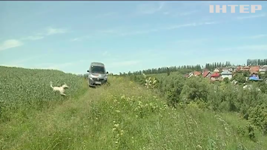 На Буковині чиновників підозрюють у земельних махінаціях