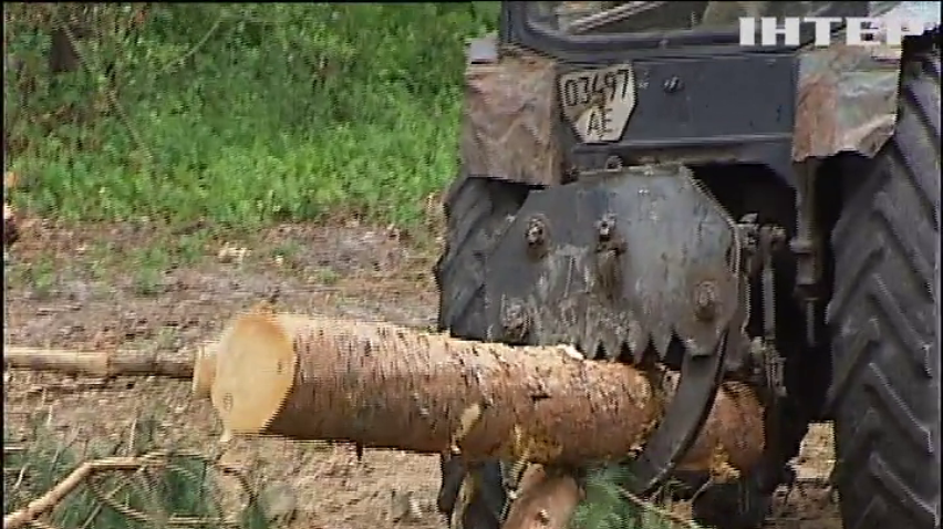 Вырубка леса грозит Украине экологической катастрофой