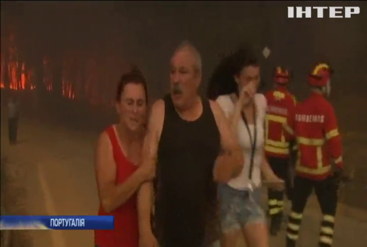 Пожежі в Португалії забрали життя 62 людей