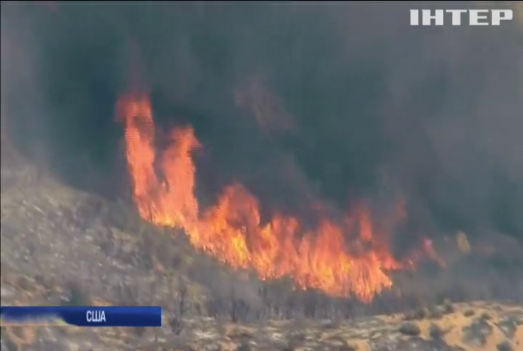 У Каліфорнії вигоріло 400 гектарів лісу
