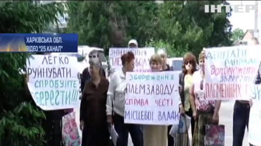 На Харківщині люди протестують проти знищення худоби на підприємстві