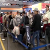 Сервер аеропорту "Бориспіль" не працює через кібератаку