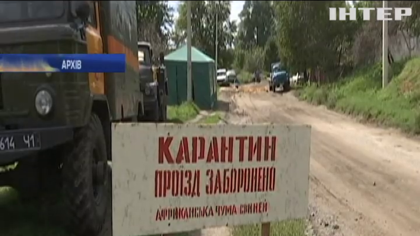 На Харківщині виявили новий спалах африканської чуми