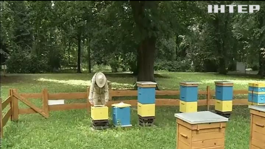 У Польщі пасічники провели майстер-класи для молоді