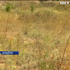 Саперы освобождают Донбасс от мин и снарядов (видео)