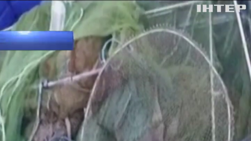 Пограничники задержали браконьеров с уловом крабов на 5 млн гривен