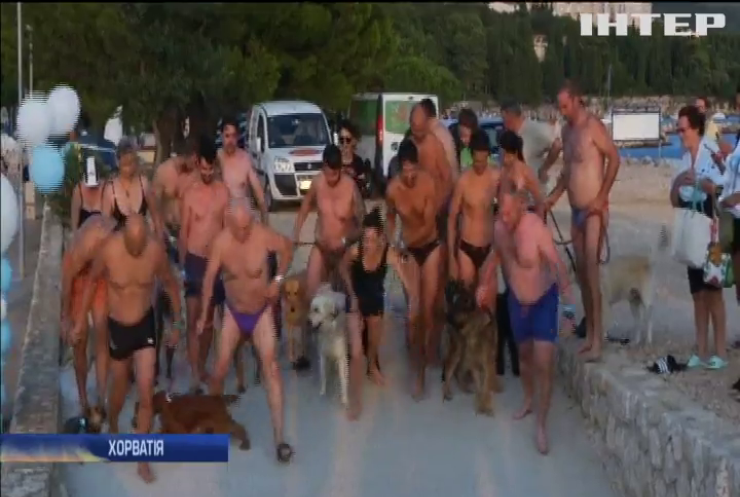 В Хорватії влаштували перегони з собаками