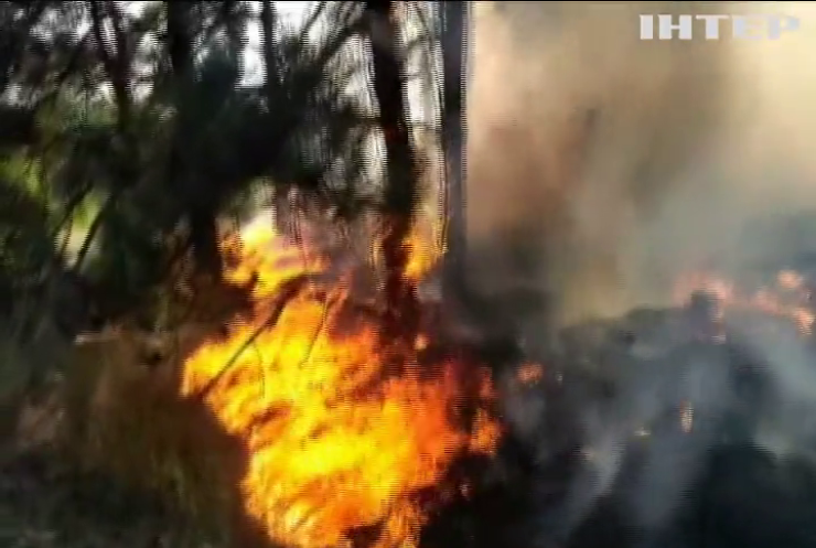 Пожежа в Хортиці: відпочивальники знехтували правилами безпеки