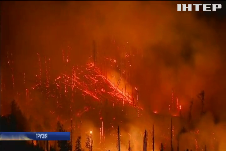 У Грузії лісові пожежі гасять понад 400 вогнеборців