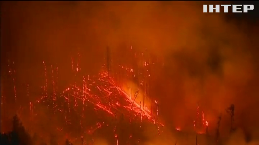 У Грузії лісові пожежі гасять понад 400 вогнеборців