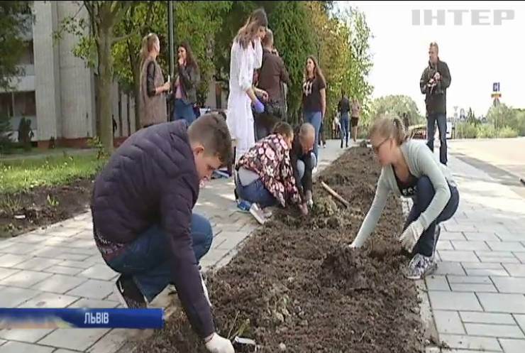 У Львові переселенці висадили 70 кущів троянд
