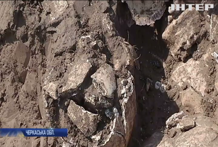 В Чигирині археологи розкопали 200 черепів козаків
