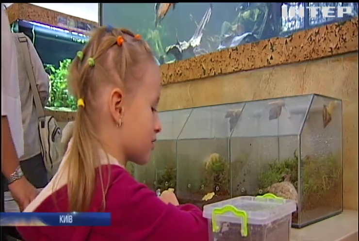 У Києві відкрилась виставка гігантських африканських равликів