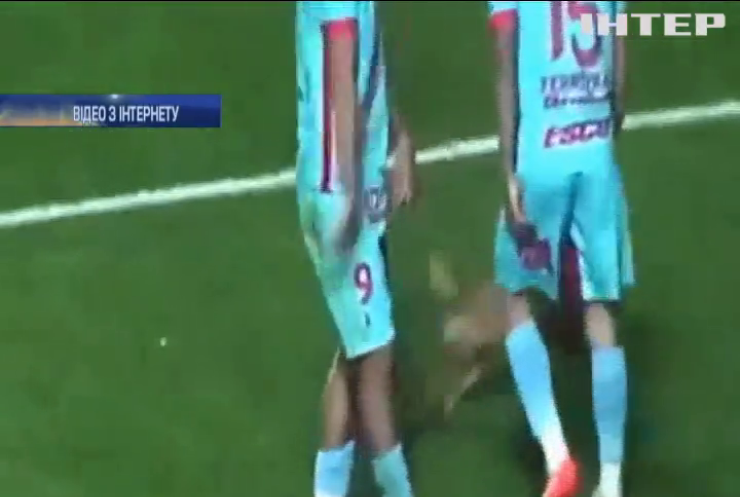 У Аргентині пес став зіркою футбольного матчу (відео)