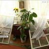 Взрывы под Винницей: жители Павловки самостоятельно ремонтируют свои дома