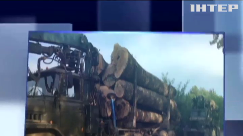 В Черновицкой области задержали два грузовика с лесом