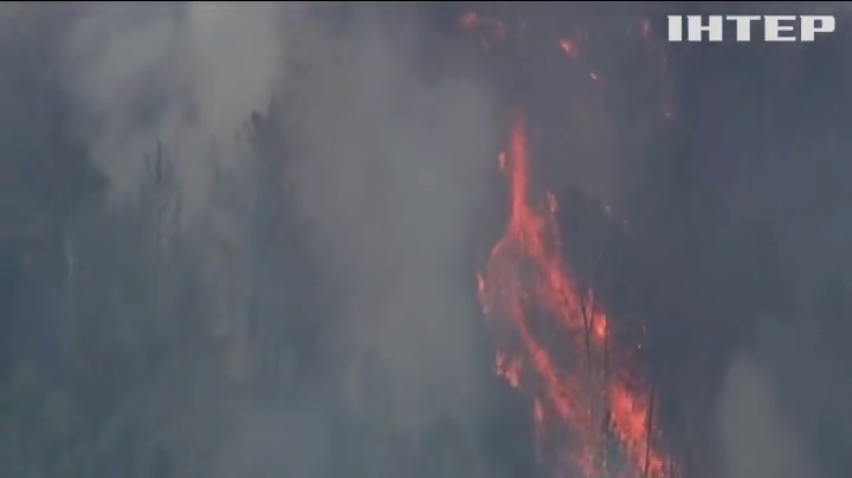 В Каліфорнії зросла кількість жертв лісових пожеж