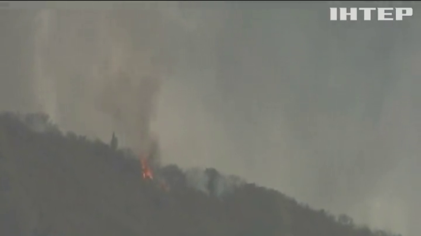 У лісових пожежах в Каліфорнії загинула 21 людина