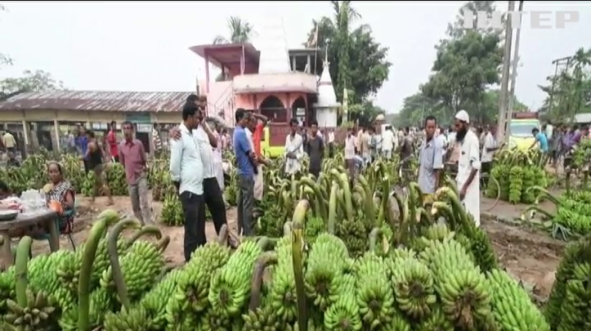 ООН попереджає про загрозу "бананової катастрофи"