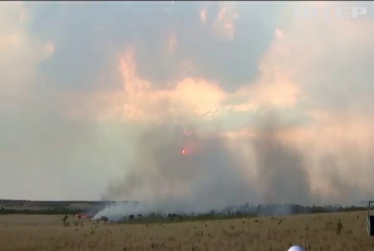 В Бразилії вогонь знищив 50 тис. гектарів лісу