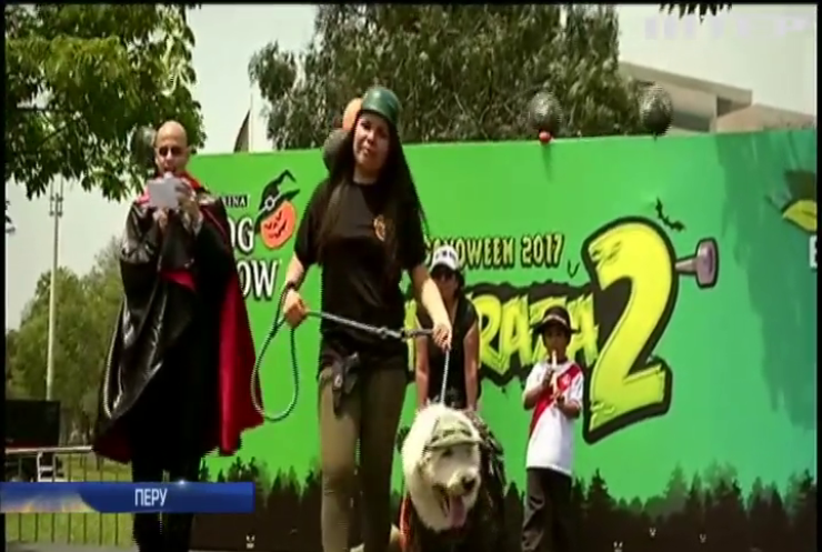 У Перу до Хелловіну влаштували конкурс на найкращий костюм для собак
