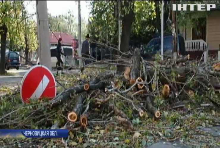 Непогода в Украине: на Ивано-Франковщине дерево привалило 8-летнего ребенка